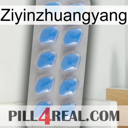 Ziyinzhuangyang 22
